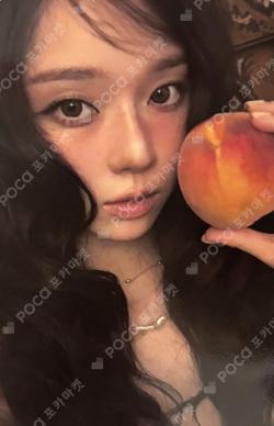 2026 SEASON'S GREETINGS RANDOM TRADING CARD SET B ver. WINTER photocard image