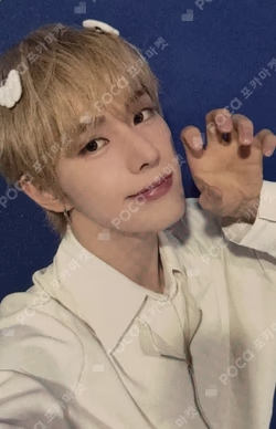 HOUSE OF TRICKY : WRECKING THE HOUSE APPLEMUSIC JINSIK photocard image