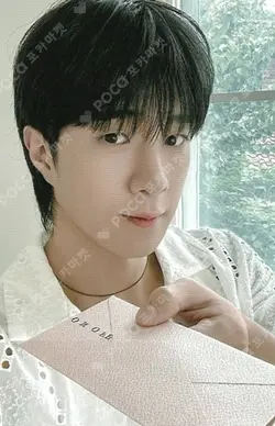 The Archive: Eight Summers ARCHIVE BOOK KIT