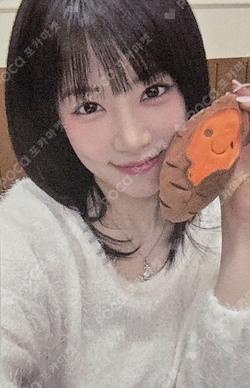 2026 Apink 8th Concert [The Origin : APINK] VIP ChoRong photocard image