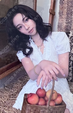 2026 SEASON'S GREETINGS RANDOM TRADING CARD SET B ver.