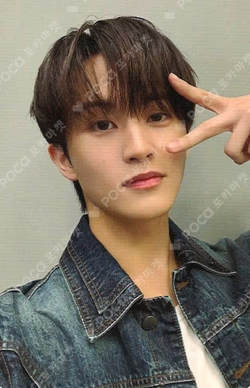 Dreamiez's Dream Forest POP-UP PVC PHOTO CARD HOLDER