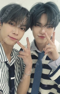 JAPAN FANMEETING [VERI SCHOOL] TRADING CARD Unit photocard image