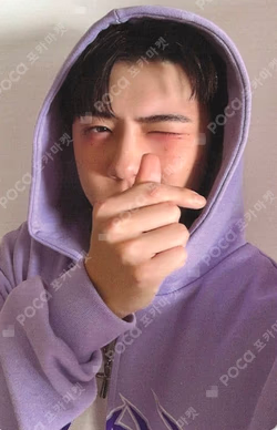 2026 SEASON'S GREETINGS SEHUN photocard image