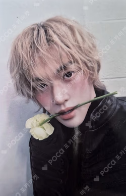 Arena HOMME+