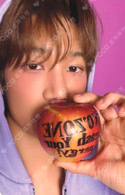 2026 SEASON'S GREETINGS KAI photocard image