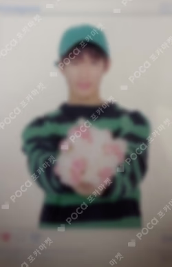 SEVENTEEN 2019 JAPAN TOUR 'HARU' TRADING CARD
