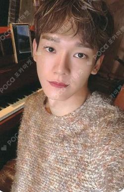 Polaris CD Venue Limited Edition CHEN  photocard image