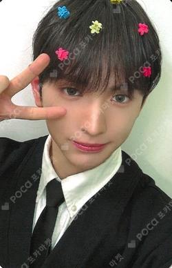 As I am EVERLINE LEW photocard image