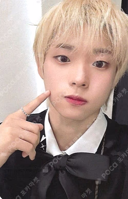 TIOT 2025 FLEX LINE in TOKYO Final RELEASE EVENT SHINYECHAN photocard image