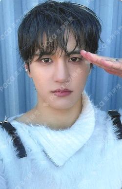 BRUISE DEAR MY MUSE JAE YUN photocard image