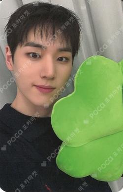 BRUISE DEAR MY MUSE YOON SUNG photocard image