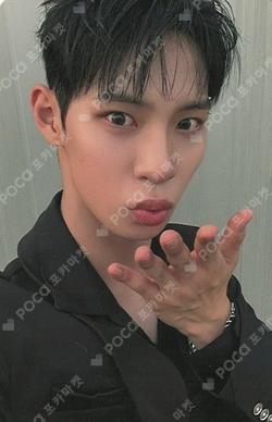 FLEX LINE fromm store