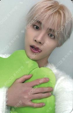 BRUISE DEAR MY MUSE MYUNG HO photocard image