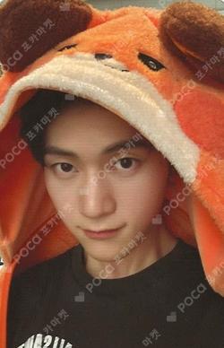 zeroni FLUFFY Wonderland PHOTO HOLDER POUCH SEOK MATTHEW photocard image