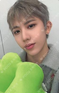 BRUISE DEAR MY MUSE YUN GYU photocard image