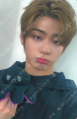 Trophy DEAR MY MUSE Kim Do Gyun photocard image