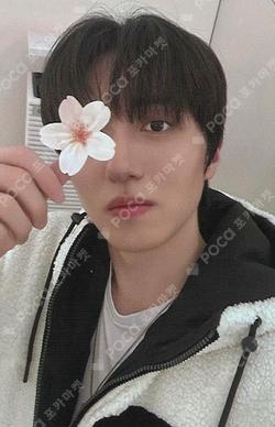 LOVE RACE FANPLEE CHA NI photocard image