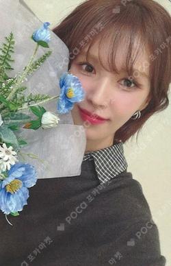 Cerulean Verge MAKESTAR WENDY photocard image