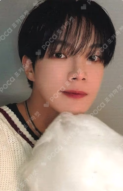 Lost and Found EVERLINE