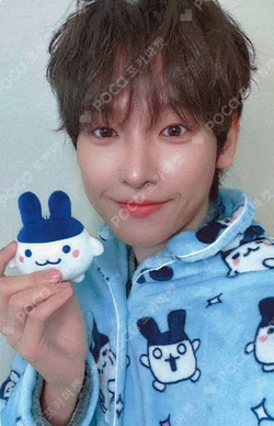 Crossfade: Hellolive shop