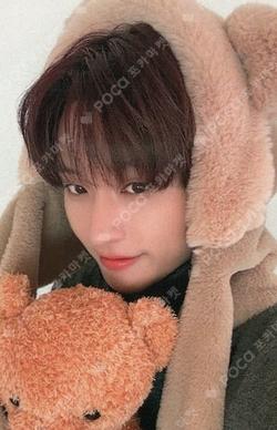 Crossfade: Hellolive shop INSEONG photocard image