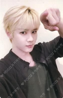 BIG BANDS KMS KUN photocard image