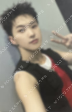 HOSHI X WOOZI FAN CONCERT [WARNING] - JAPAN SEVENTEEN Japan official fanclub CARAT BOOTH