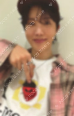 j-hope Tour 'HOPE ON THE STAGE' FINAL Wind Vest (Gray)