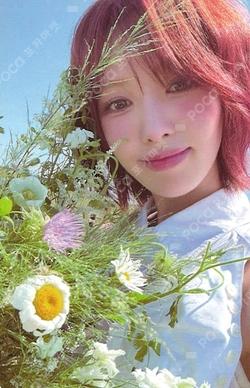 2025 WENDY 1st WORLD TOUR [W:EALIVE] PHOTO SET WENDY photocard image