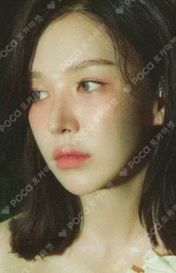 RED CIRCLE Red Velvet X Wonhyeongdeul RV Keyring +  Photo card WENDY photocard image