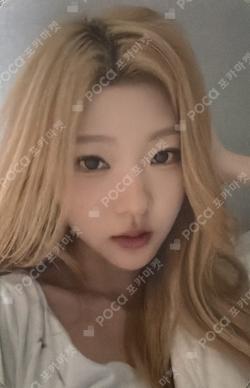 FOCUS StarRiver Stella photocard image