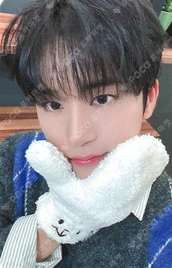 LOST DEAR MY MUSE JunWoo photocard image