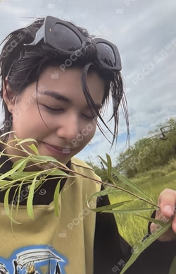 LNGSHOT STICKERS LOUIS photocard image