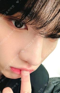 LOST Starlike Music Chael photocard image