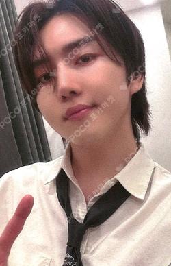 If this is love, I want a refund EVERLINE KINO photocard image