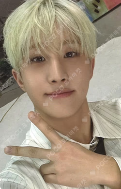 The 4th ASTROAD [Stargraphy] TRADING CARD