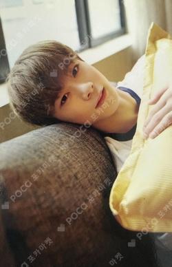 AROHA 1ST GEN MOONBIN photocard image