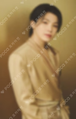 SEVENTEEN RIGHT HERE WORLD TOUR Mini Collect Book Keyring WOOZI photocard image