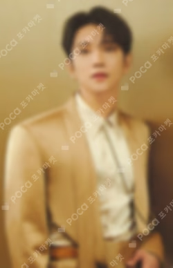 SEVENTEEN RIGHT HERE WORLD TOUR Mini Collect Book Keyring JOSHUA photocard image