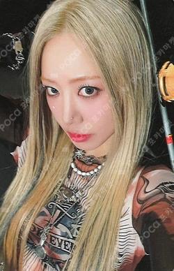 BAD DEAR MY MUSE NamJoo photocard image