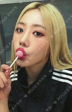 BAD EVERLINE NamJoo photocard image