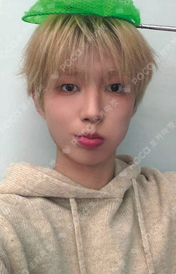 BRUISE DEAR MY MUSE MIN HO photocard image