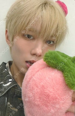 BRUISE 1st music MIN HO photocard image