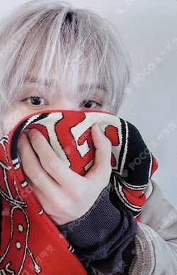 2026 NCT DREAM TOUR [THE DREAM SHOW 4 : FUTURE THE DREAM] FINALE RANDOM TRADING CARD B VER. JISUNG photocard image