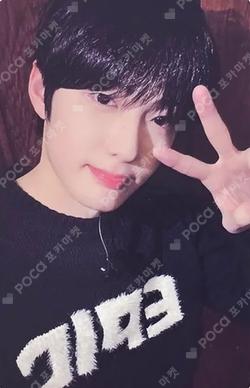 EUPHORIA MUSICART SANGHYEON photocard image