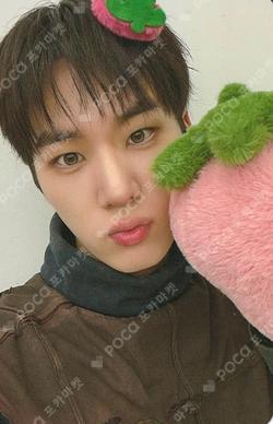 BRUISE 1st music YOON SUNG photocard image