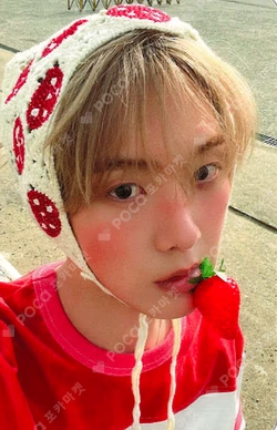 CHAMELEON APPLEMUSIC