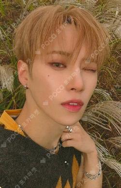 EUPHORIA HMV ARNO photocard image
