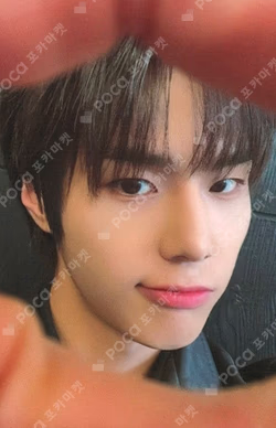 82MAJOR 5th CONCERT [BEBEOM : BE THE TIGER] LEOPARD SCRUNCHIE Kim Do Gyun photocard image